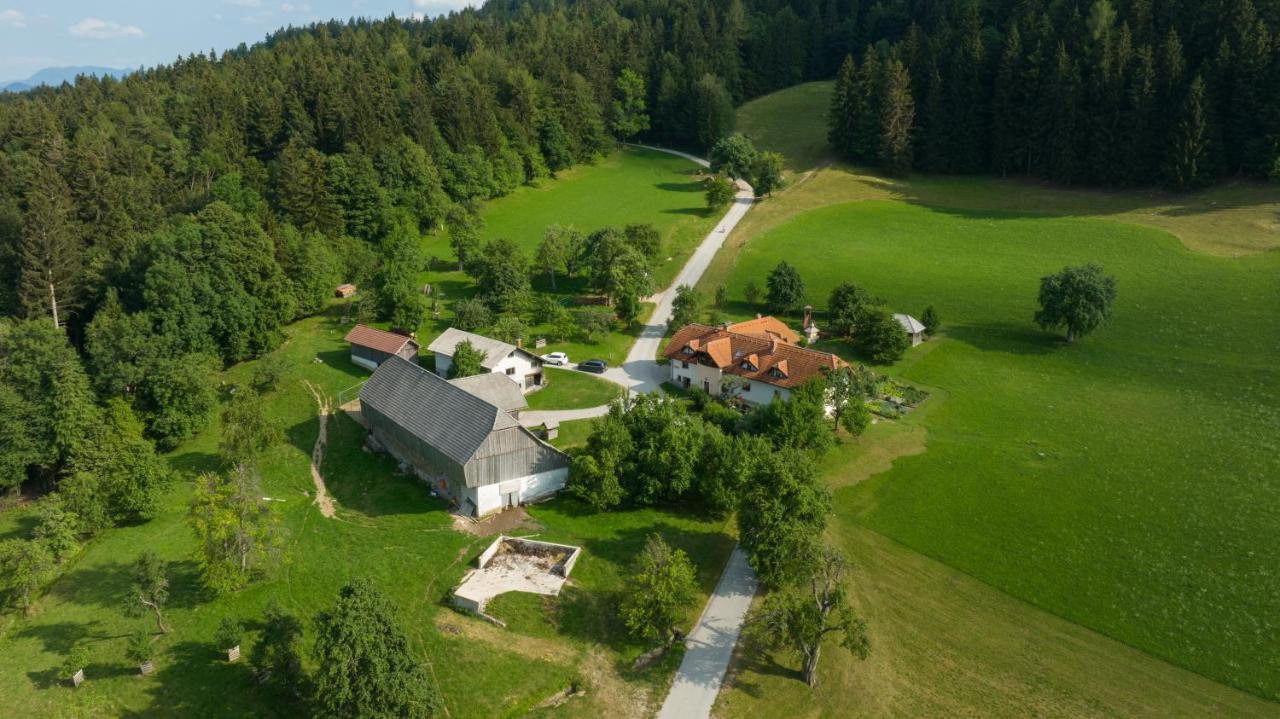 Eco Tourist Farm Ravnjak Slovenj Gradec Εξωτερικό φωτογραφία